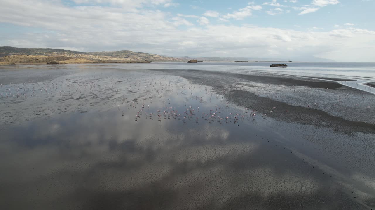 Approaching to flamingos flying in Lake Natron, Tanzania
