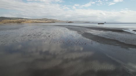 approaching to flamingos flying in lake natron, tanzania