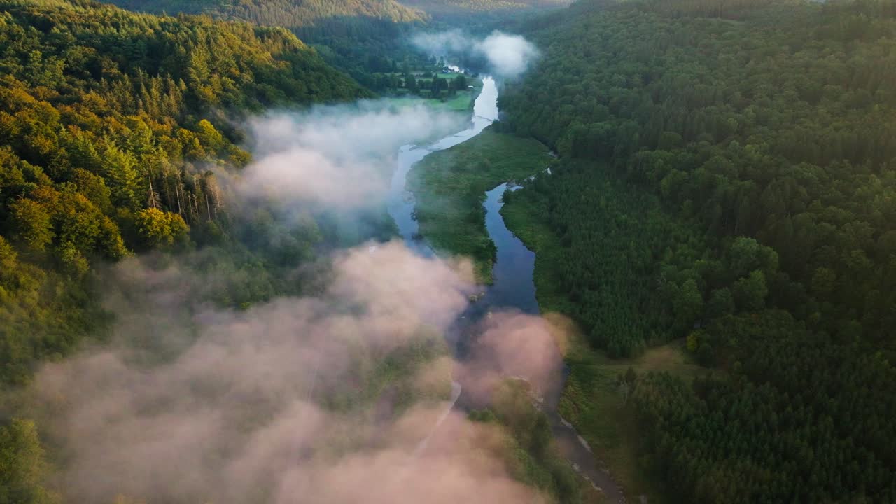 Aerial view of a river winding through a foggy forest
