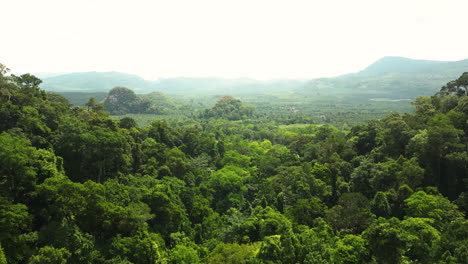 Dschungel-Von-Oben-Im-Süden-Thailands.-Provinz-Krabi