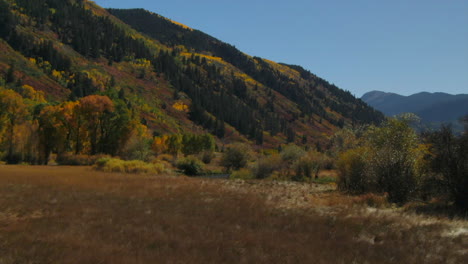 Roaring-Fork-Flusstal-Nordstern-Naturschutzgebiet-Independence-Pass-Teufel-Punschbowl-Colorado-Sommer-Herbst-Herbstluft-Drohne-Filmisch-Espe-Schneemassen-Ashcroft-Blauer-Himmel-Wiesen-Vorwärts-Zeitlupe