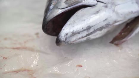 Atún-Cortado-Pescado-Fresco-En-El-Mercado-De-La-Ciudad