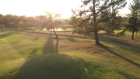 two diverse male golf players playing golf at golf course on sunny day