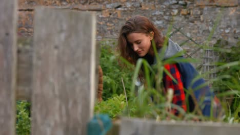 pretty young woman gardening