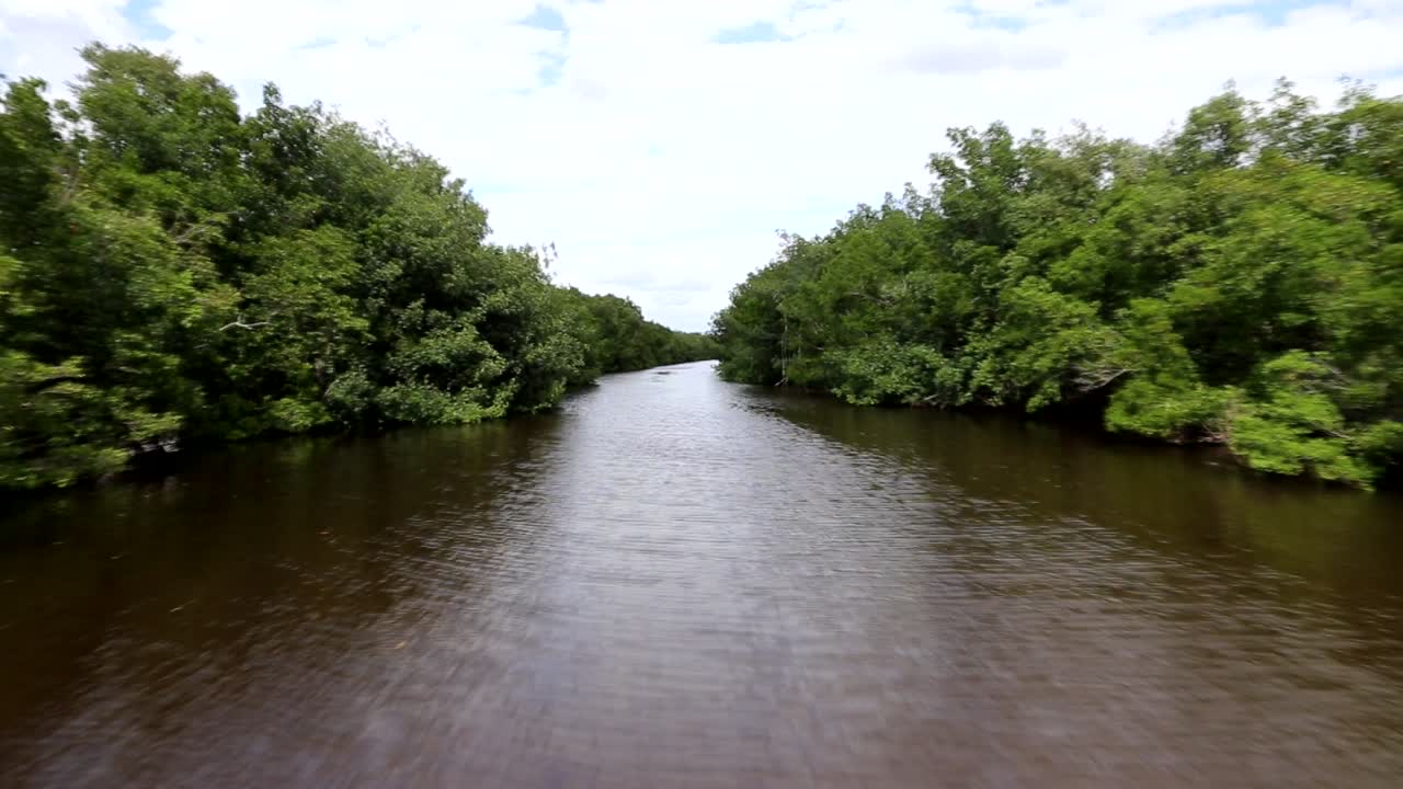 imágenes de drones en un río en los everglades de florida