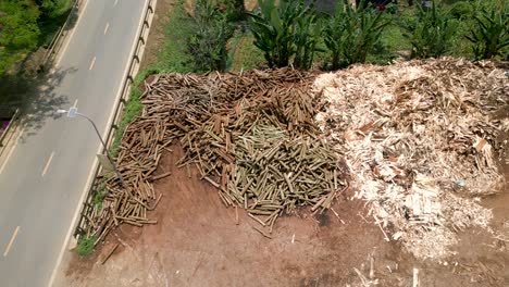 wood piles at a processing facility