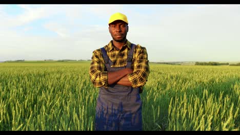 agricultor en un campo de trigo