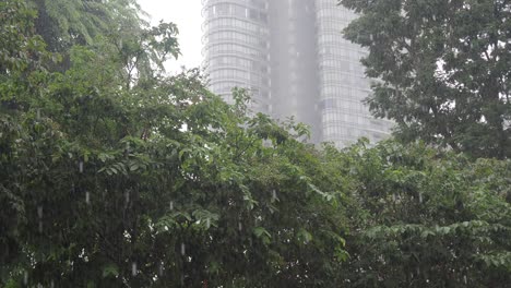Rainy Cityscape with Trees and Skyscrapers