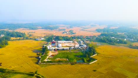 a gas field amidst lush golden paddy farmland in bangladesh - aerial drone shot