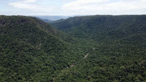 Strom-Und-Wald-Im-Girringun-Nationalpark-In-Queensland,-Australien