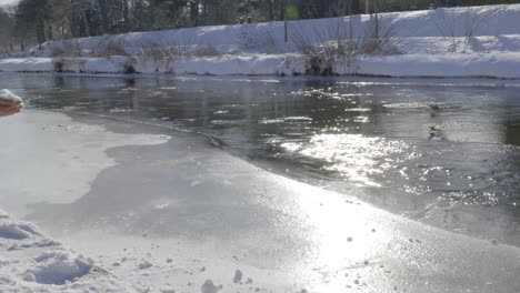piece of ice sliding into a sparkling river