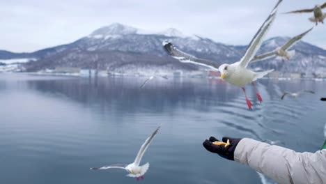 Boat-trip-on-the-Lake-in-Hokkaido,-people-feeding-the-seagulls