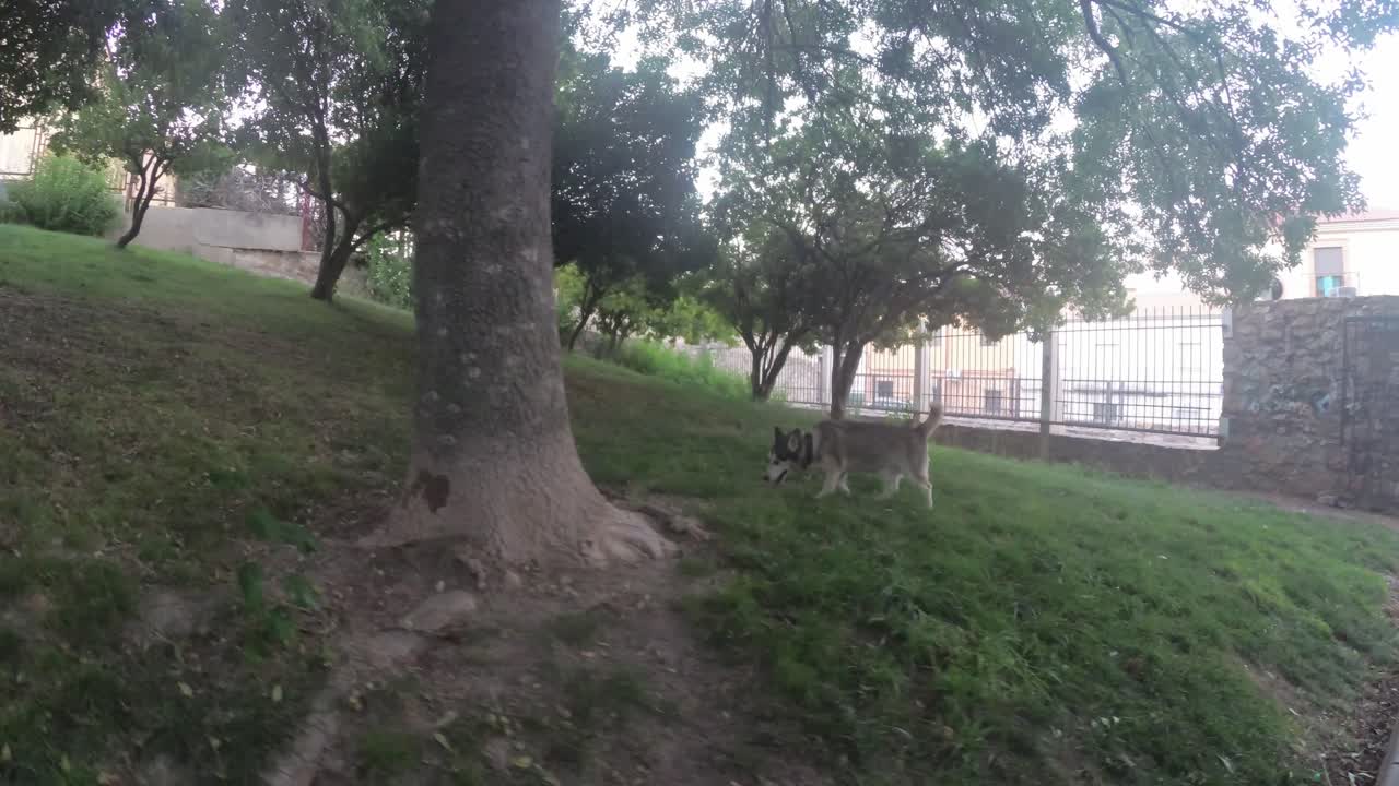 하엔 스페인 도심과 거리 4k 24fps에서 안달루시아 스페인의 이 오래된 도시에 대한 일부 전망