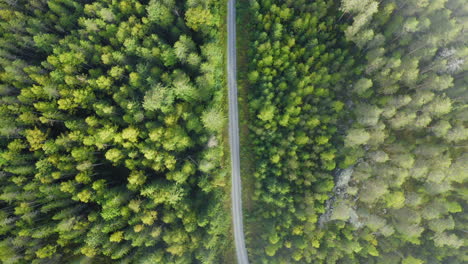 Luftdrohnen-Vogelperspektive-Auf-Eine-Schotterstraße-Mitten-Im-Wald