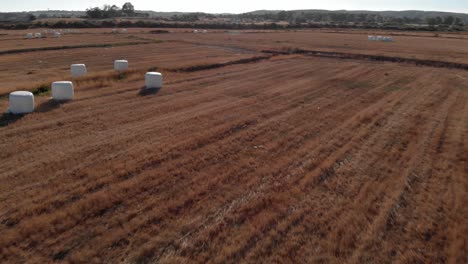 Hay-harvest-in-a-field,-warming-drone-footage-with-sun-flare