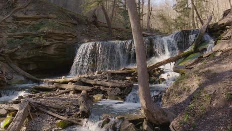 Ruhiger-Wasserfall-In-Einem-Wald-Mit-Umgestürzten-Baumstämmen-Und-Bäumen-Während-Des-Tages