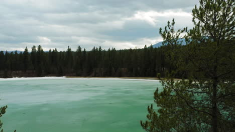 Aerial-shot-between-tall-cedar-trees-to-reveal-a-crystal-clear-teal-lake