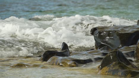 Ocean-water-splashes-on-wet-rocks-in-slow-motion,-intertidal-zone