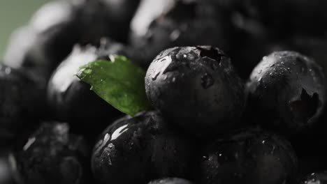 micro video of close up of blueberries with copy space