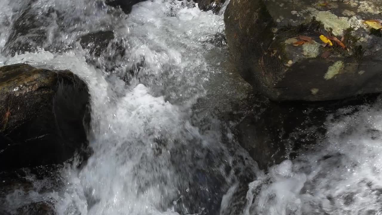 L'eau tourbillonne sur les pierres dans un cours d'eau de montagne, 60 ips.