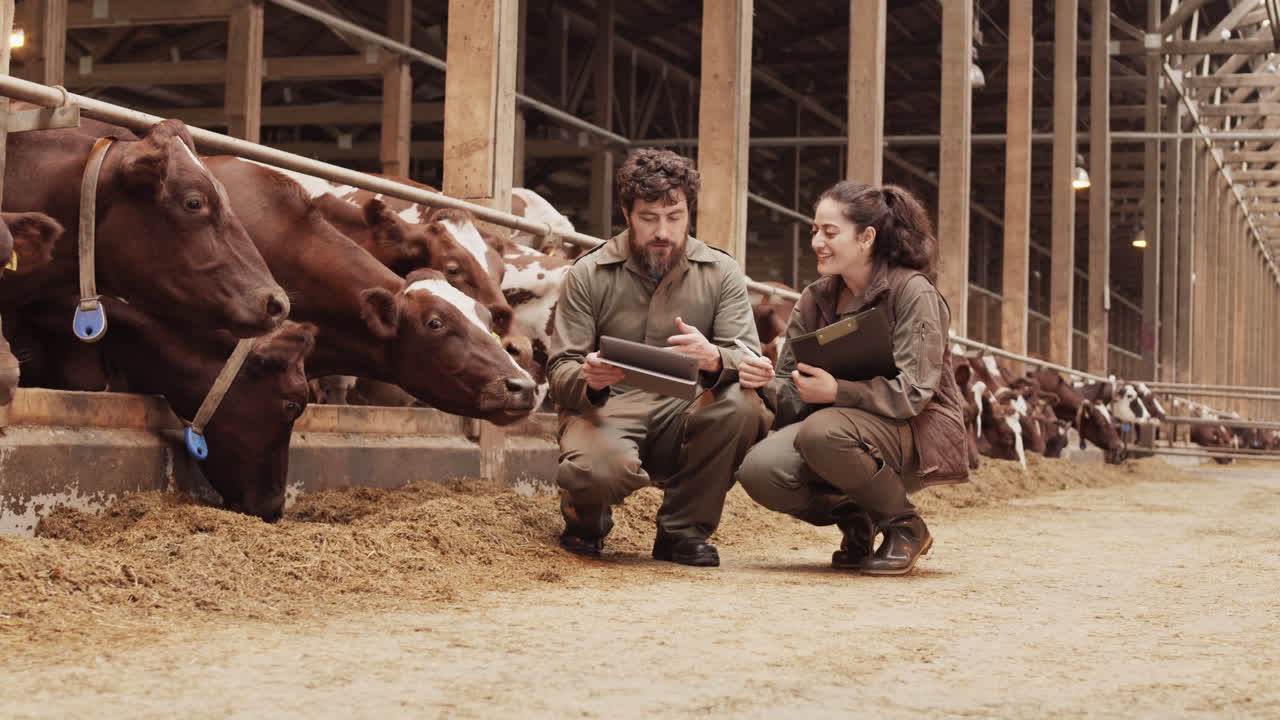 Diversi agricoltori professionisti che parlano in una stalla