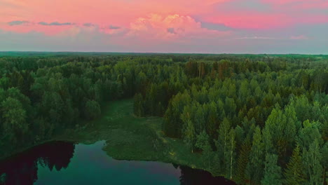 Hermosa-Vista-Aérea-De-La-Puesta-De-Sol-Rosa-Sobre-Un-Rico-Bosque,-Avance-A-Lo-Largo-Del-Reflejo-Del-Lago