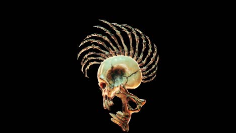 el bucle de la calavera vj punk