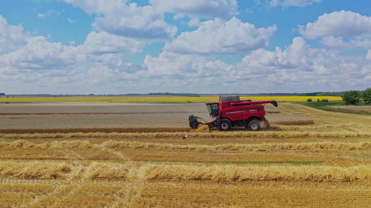 Harvesting agricultural machinery. Aerial view of combine harvesting the field of wheat