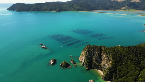 aerial drone view of clam breeding farm in rocky cliff shore of new zealand