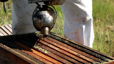 los apicultores fuman a las abejas lejos de la colmena