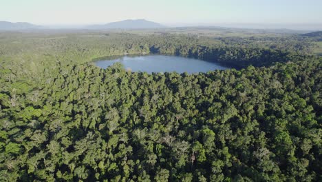 volcanic lake eacham surrounded with lush rainforest in north queensland, australia - aerial drone shot