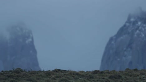 Dos-Picos-En-Las-Nubes-En-Un-Día-Oscuro