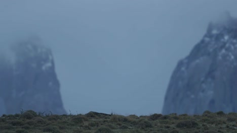 dos picos en las nubes en un día oscuro
