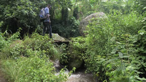 a slow motion shot of african man crossing a small wooden bridge over a stream in a tropical east african jungle