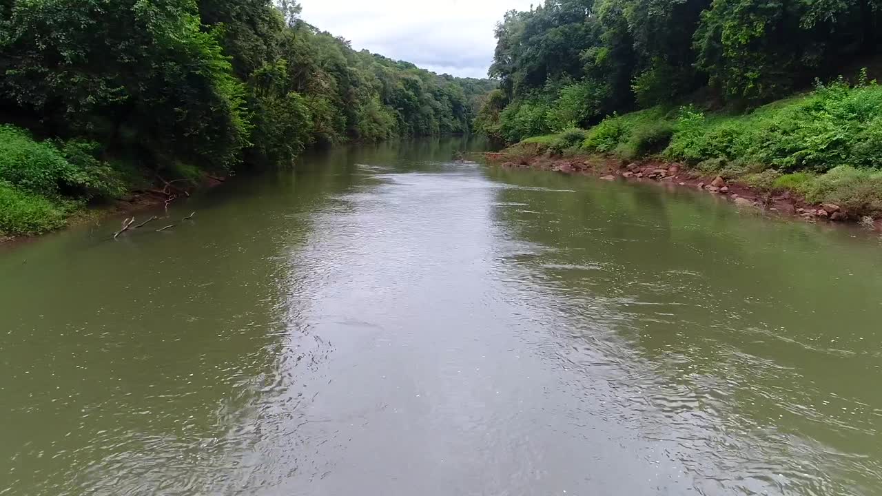 volando sobre el hermoso río en la selva profunda