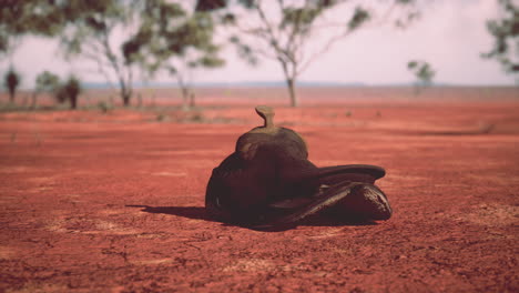 Old-decorated-mexican-saddle-lying-on-sand