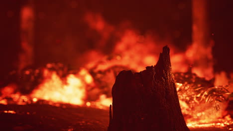 Grandes-Llamas-De-Incendio-Forestal