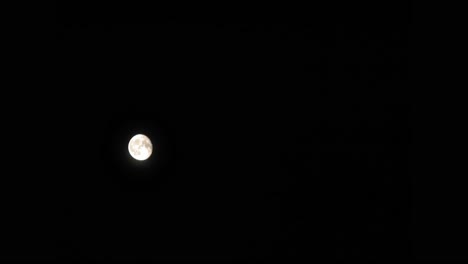 noche tranquila con luna llena brillando en un cielo oscuro en pradzonka, norte de polonia - disparo en ángulo bajo