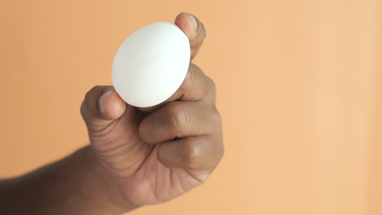 Hand Holding a White Egg