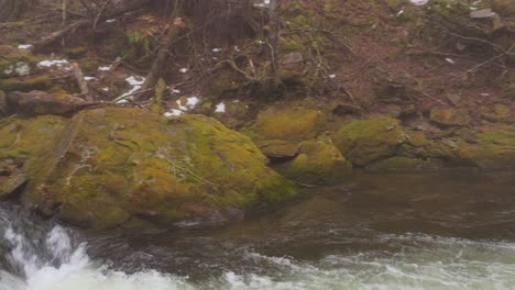 Stunning-mossy-stream-in-the-Catskill-mountains,-on-a-magical-foggy,-atmospheric-day,-during-late-winter