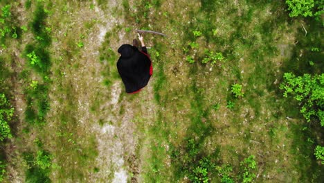 grim reaper en capa negra sostiene una guadaña en medio del bosque