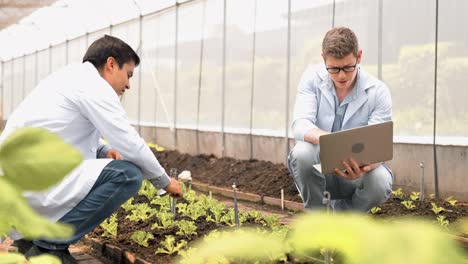 dos jóvenes biotecnólogos en bata blanca usan lupa para comprobar la conferencia del bebé para la investigación y la computadora portátil digital en la granja orgánica. productos de buena calidad, recuerde el cultivo de plantas, concepto del día de la tierra.