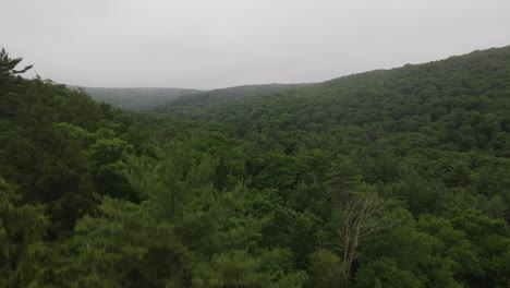 Disparo-De-Un-Dron-En-El-Bosque-Nacional-Allegheny-En-Pennsylvania