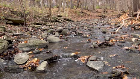 Bachwasser-Fließt-über-Steine-Mit-Herbstblättern