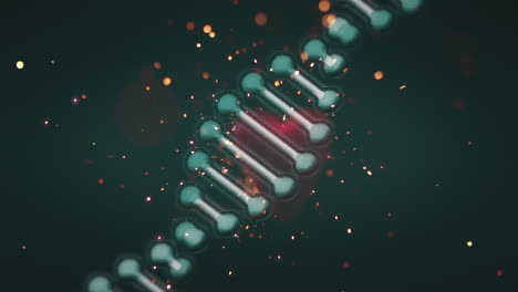 animation of dna strand rotating with red hearts and glitter falling on black background