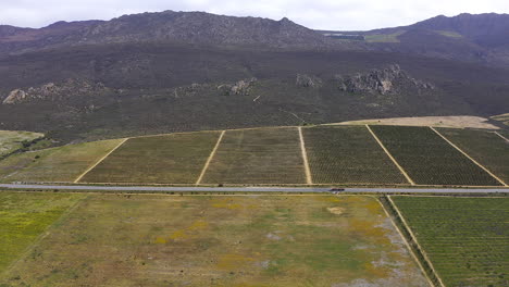 te lo daremos donde quiera que estés.