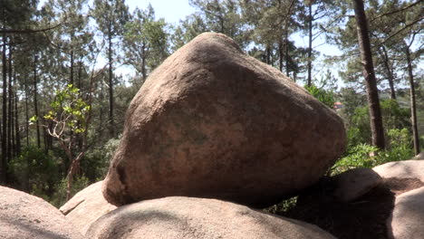 Large-yellowish-stones-on-top-of-the-hill,-surrounded-by-pine-trees-and-other-vegetation