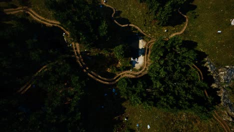 aerial view of the road through the forest