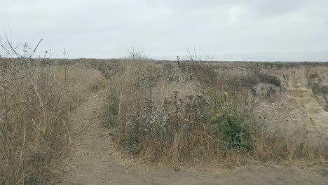 walking-through-tall-dry-grass-on-coastal-trail-dirt-path-on-overcast-summer-day