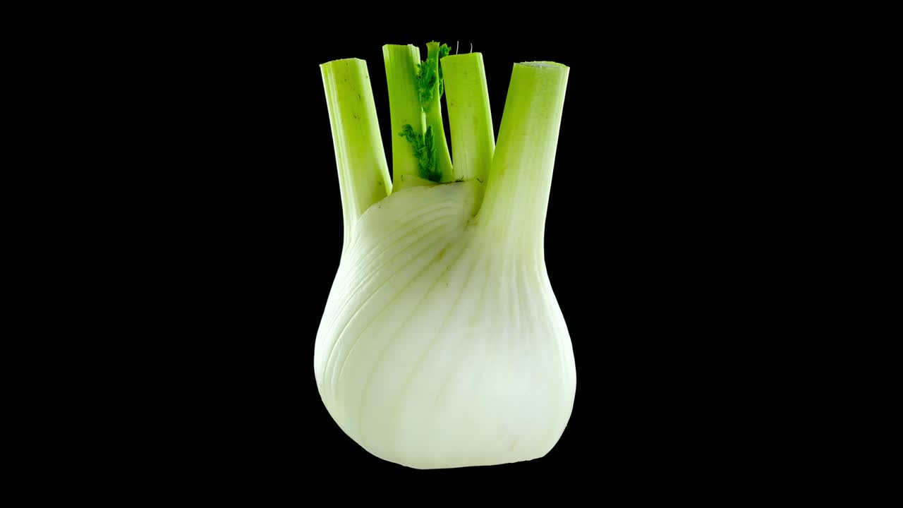 raíz de hinojo fresca y jugosa con hojas verdes se vuelve negra